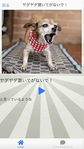 Download イヌトーーク 犬と話す際のお遊び補助アプリ 永久無料 Free For Android イヌトーーク 犬と話す 際のお遊び補助アプリ 永久無料 Apk Download Steprimo Com