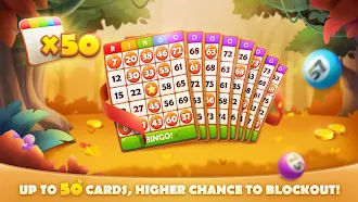 Game screenshot Bingo Land-Classic Game Online mod apk