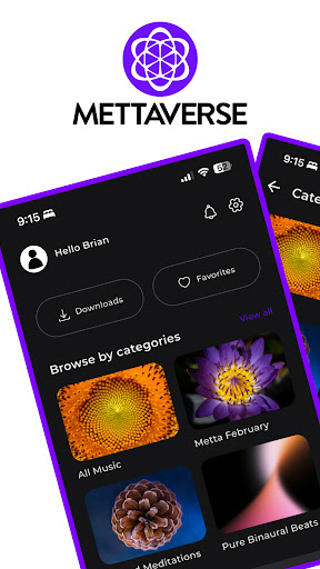 Screenshot of Mettaverse