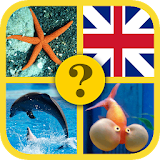 Fish Quiz :Guess The Fish Name icon
