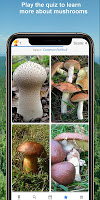 screenshot of Mushroom Identify - Automatic 