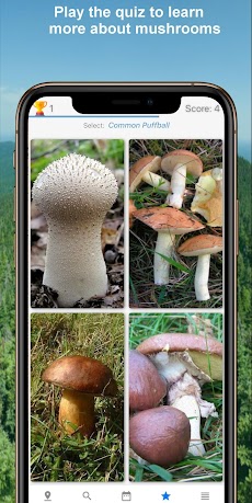 Mushroom Identify - Automaticのおすすめ画像5