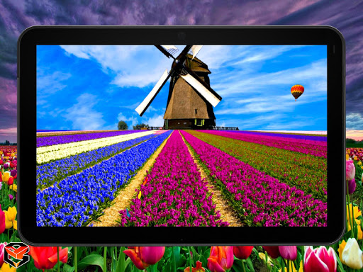 Download Flower Fields Live Wallpaper Free For Android Flower Fields Live Wallpaper Apk Download Steprimo Com