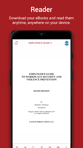 Castle eReader Screen 2