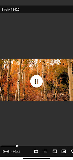 ChinVidPlayer Screen 2