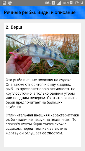 Речные рыбы. Виды и описание