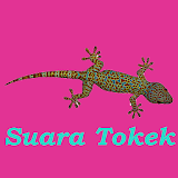 Gecko Sound icon