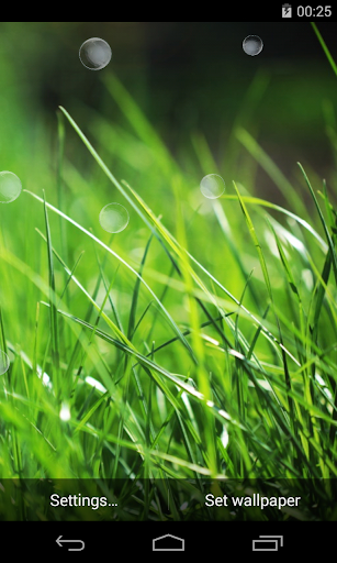 Grass Live Wallpaper Screen 3