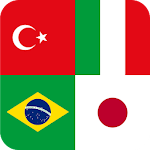 Cover Image of Download Country Flags and Capital Cities Quiz 3 1.0.28 APK