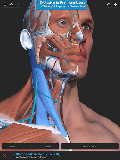 Screenshot of Visual Anatomy 3D - Human body
