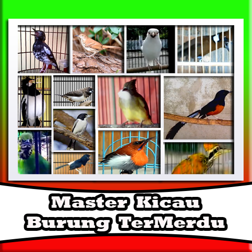Kumpulan Suara Burung Master  Icon