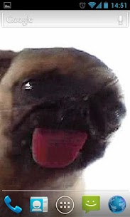 Dog Licker Live Wallpaper FREE For PC 1