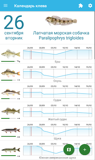Предварительный просмотр приложения
