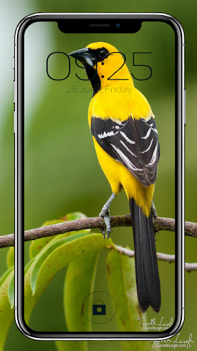 Bird Wallpapers Screen 2