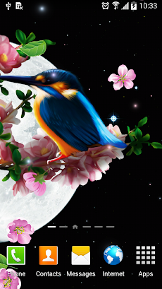 Sakura and Bird Live Wallpaperのおすすめ画像4