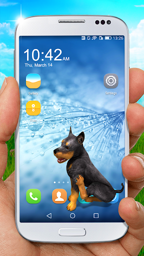 Animated dog doberman