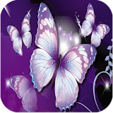 Butterfly Wallpapers HD icon