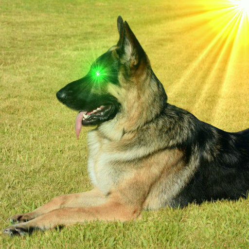 German Shepherd Sounds logo