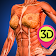 Female Anatomy : Woman Body Visualizer icon