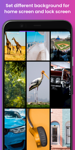 W4U - Cool Wallpapers