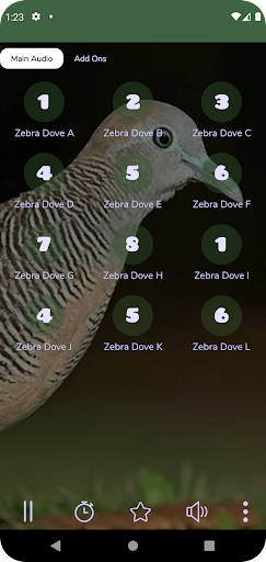 Android application Zebra Dove Sounds screenshort