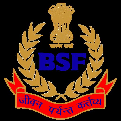 clms-bsf logo