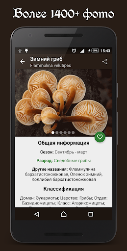 Предварительный просмотр приложения