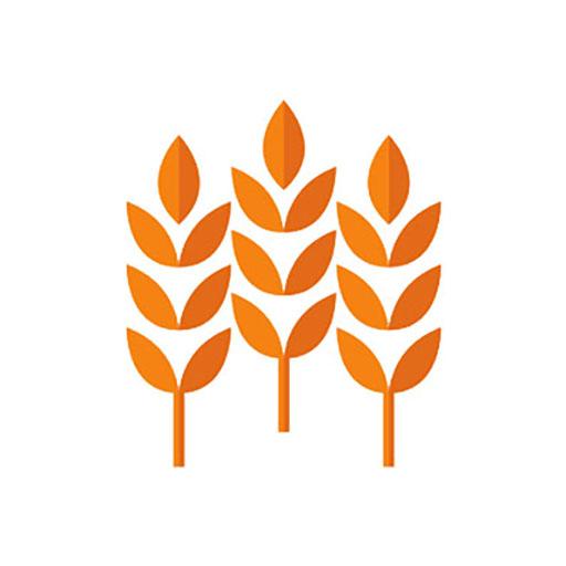 SaboosDiet logo