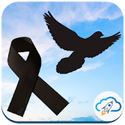 Top 48 Lifestyle Apps Like Imagenes y Fotos para Luto - Frases de Condolencia - Best Alternatives