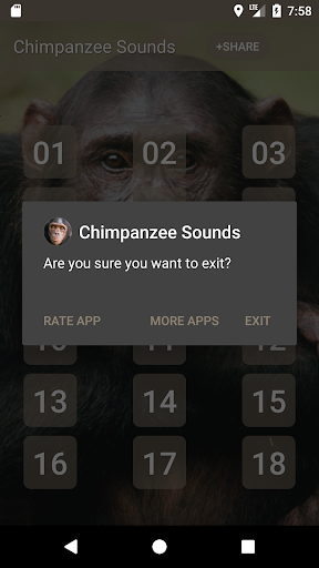 Chimpanzee Sounds Screen 3