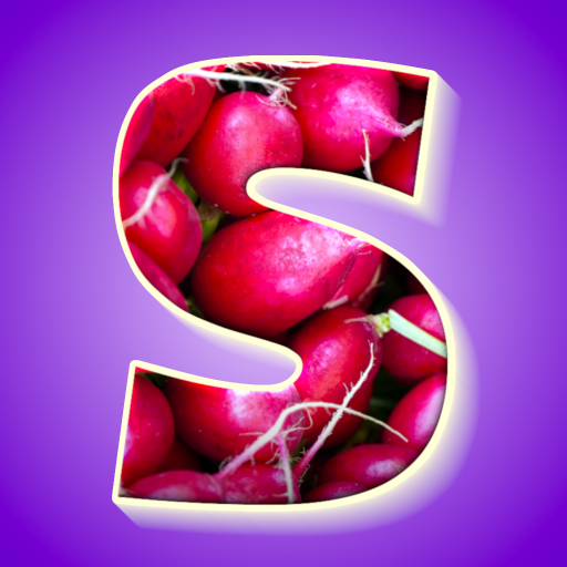 Legro Sofer logo