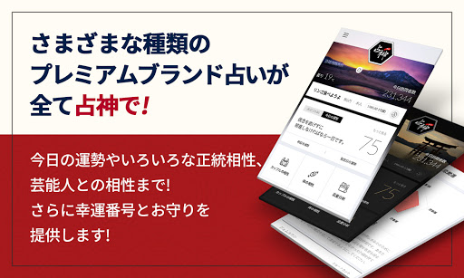 2024 占神: 占いの完全版 Screen 2