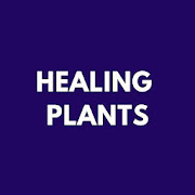Herbal Plants