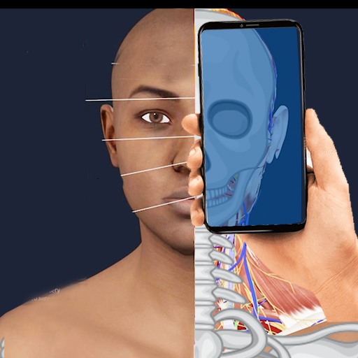 X - Ray Body Scanner Lab Prank Download on Windows