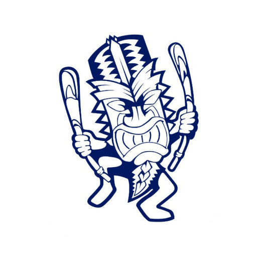 Tsunami Academy logo