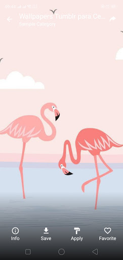 Free Wallpaper HD 4K and Backg