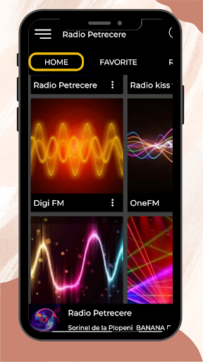 Radio Petrecere România Screen 3