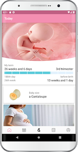 Free Pregnancy Tracker, Week by Week, Day by Day 2022 1