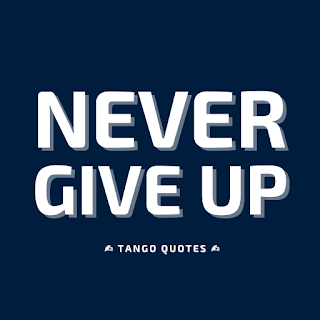 Never Give Up Quote and Saying