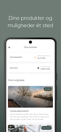 Dansk Energiforsyning