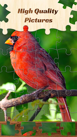 Game screenshot Jigsaw Puzzles Games apk download