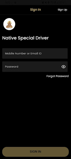 NS Sweet Delivery Driver Screen 2