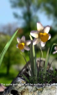 Doğa Canlı Bahar Çiçekleri XL Yamalı APK 1