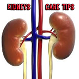 Kidneys Care Tips icon