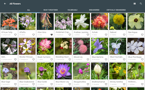 Indian Flowers Apps On Google Play