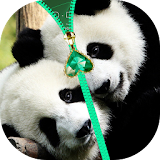 Panda Zipper Lock Screen icon