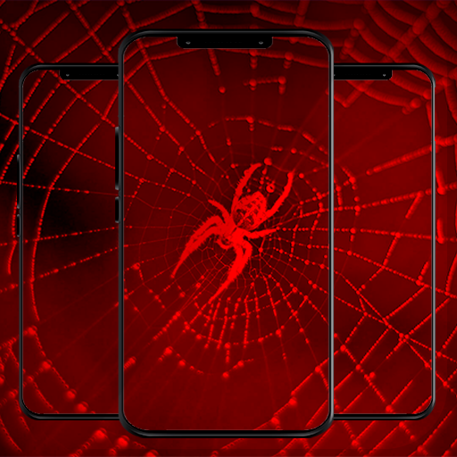 Spider Wallpaper HD