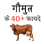 Cover Image of डाउनलोड गौमुत्र के फायदे (Benefits of  APK