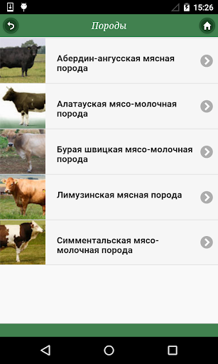Крупный рогатый скот Screen 3