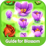 Guide for Blossom Blast v.2 icon